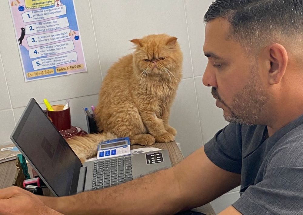 Campanha de Castração Outubro Rosa no Shopping da Natureza